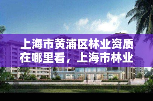 上海市黄浦区林业资质在哪里看,上海市林业局电话号码