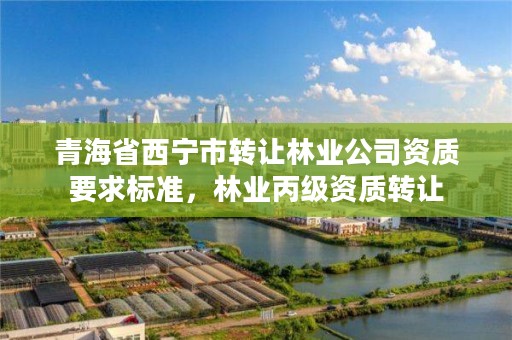 青海省西宁市转让林业公司资质要求标准，林业丙级资质转让