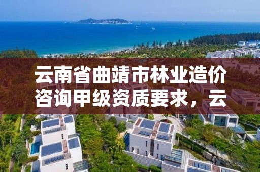 云南省曲靖市林业造价咨询甲级资质要求,云南林业资质代办公司