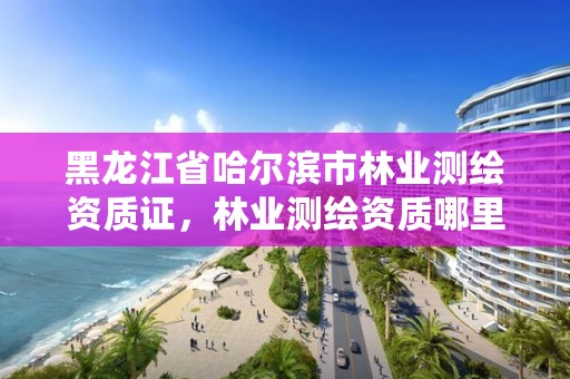 黑龙江省哈尔滨市林业测绘资质证,林业测绘资质哪里办理