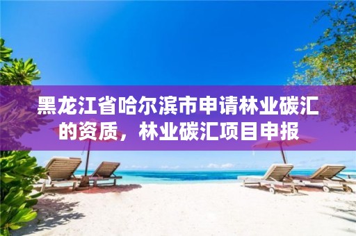 黑龙江省哈尔滨市申请林业碳汇的资质,林业碳汇项目申报