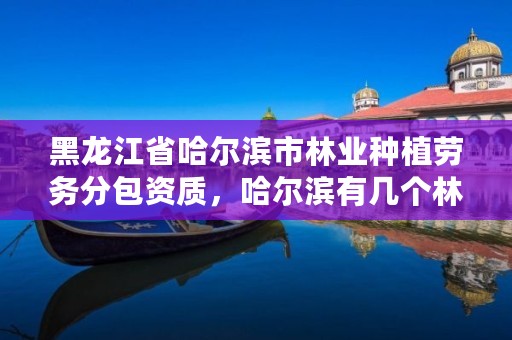 黑龙江省哈尔滨市林业种植劳务分包资质,哈尔滨有几个林业局