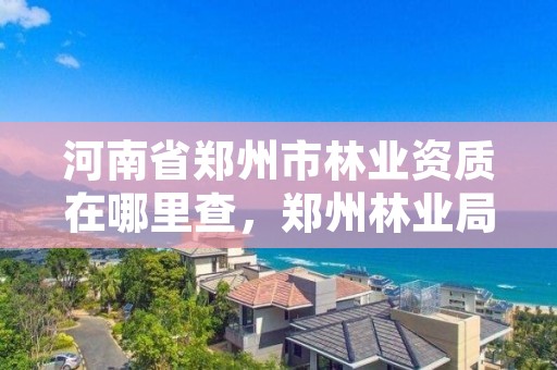 河南省郑州市林业资质在哪里查,郑州林业局网站