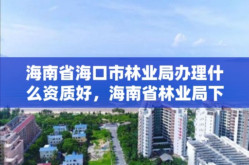海南省海口市林业局办理什么资质好,海南省林业局下属单位
