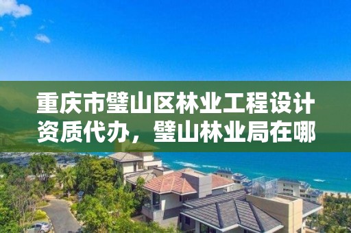 重庆市璧山区林业工程设计资质代办,璧山林业局在哪里