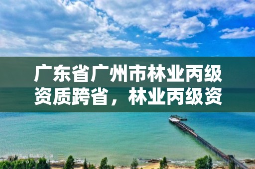 广东省广州市林业丙级资质跨省,林业丙级资质业务范围