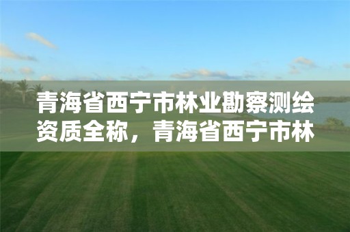 青海省西宁市林业勘察测绘资质全称，青海省西宁市林业勘察测绘资质全称是什么