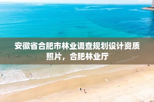 安徽省合肥市林业调查规划设计资质照片，合肥林业厅