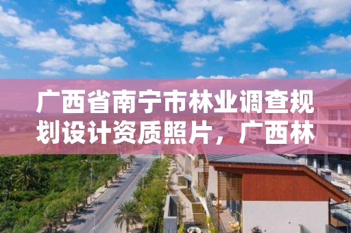 广西省南宁市林业调查规划设计资质照片,广西林业调查规划院