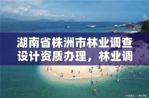 湖南省株洲市林业调查设计资质办理,林业调查规划设计甲级资质