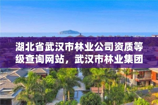 湖北省武汉市林业公司资质等级查询网站，武汉市林业集团有限公司