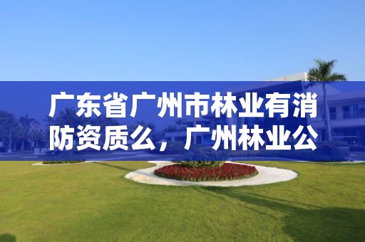 广东省广州市林业有消防资质么,广州林业公司有哪些