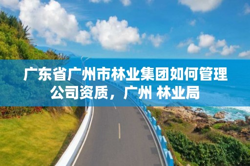 广东省广州市林业集团如何管理公司资质,广州 林业局