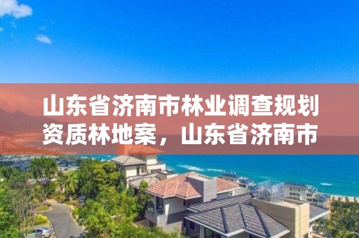 山东省济南市林业调查规划资质林地案,山东省济南市林业局