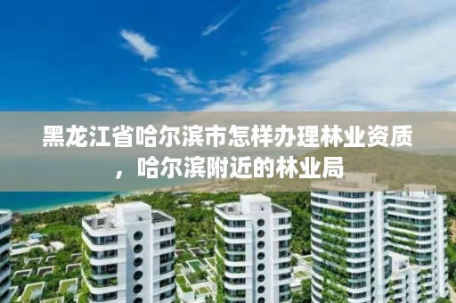 黑龙江省哈尔滨市怎样办理林业资质,哈尔滨附近的林业局