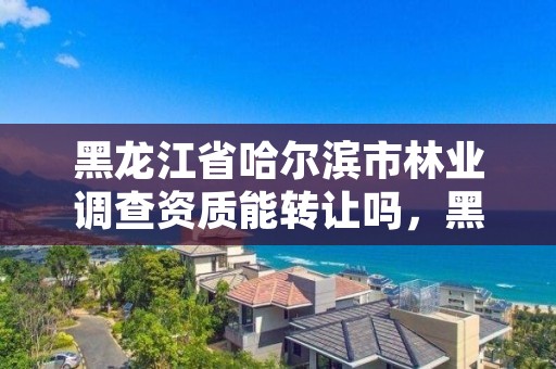 黑龙江省哈尔滨市林业调查资质能转让吗,黑龙江省林业调查设计研究院