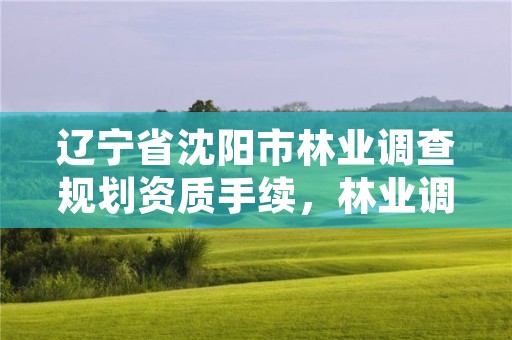 辽宁省沈阳市林业调查规划资质手续,林业调查规划资质单位有哪些