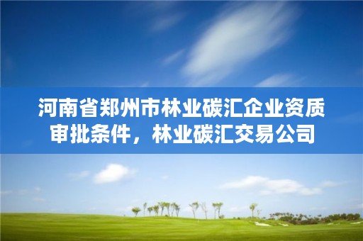 河南省郑州市林业碳汇企业资质审批条件,林业碳汇交易公司