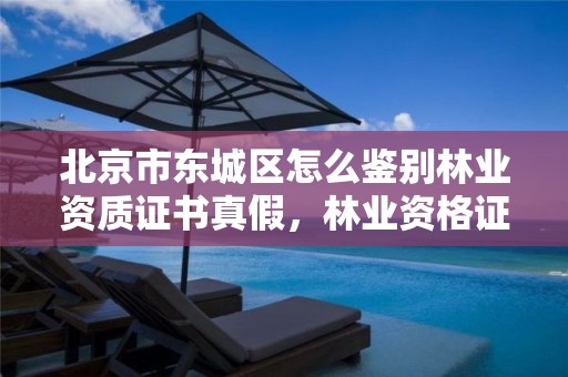 北京市东城区怎么鉴别林业资质证书真假,林业资格证书