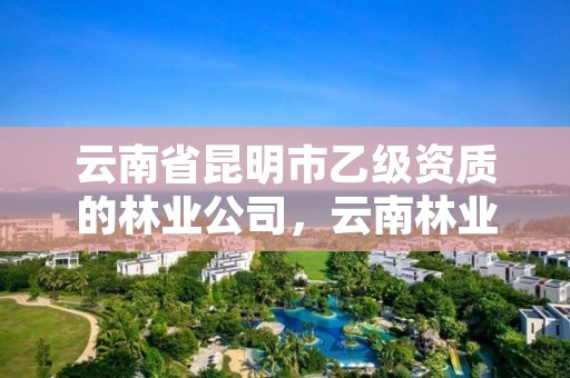 云南省昆明市乙级资质的林业公司，云南林业资质代办公司