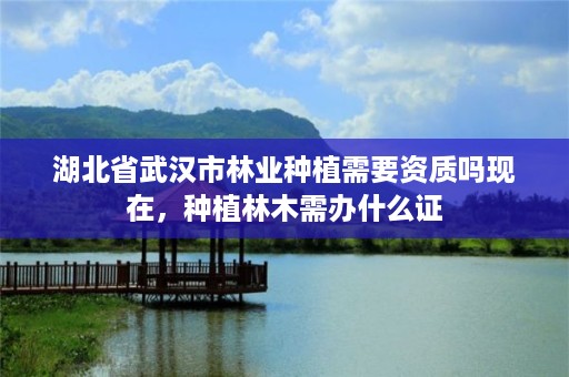 湖北省武汉市林业种植需要资质吗现在,种植林木需办什么证