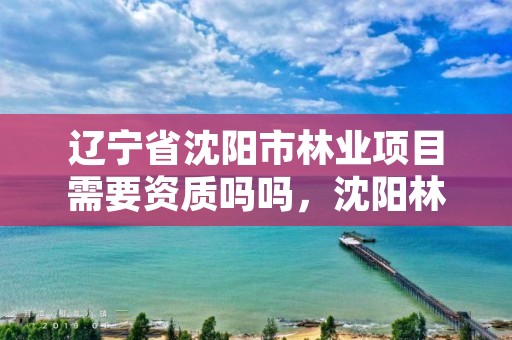 辽宁省沈阳市林业项目需要资质吗吗,沈阳林业局在什么地方