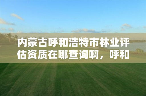 内蒙古呼和浩特市林业评估资质在哪查询啊,呼和浩特林业局地址