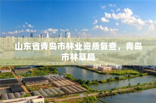 山东省青岛市林业资质复查,青岛市林草局