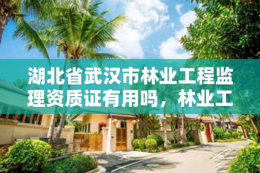 湖北省武汉市林业工程监理资质证有用吗,林业工程监理公司需要啥证