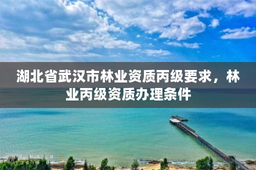 湖北省武汉市林业资质丙级要求,林业丙级资质办理条件
