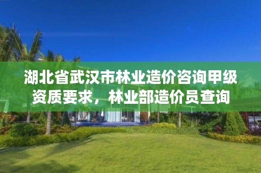 湖北省武汉市林业造价咨询甲级资质要求,林业部造价员查询