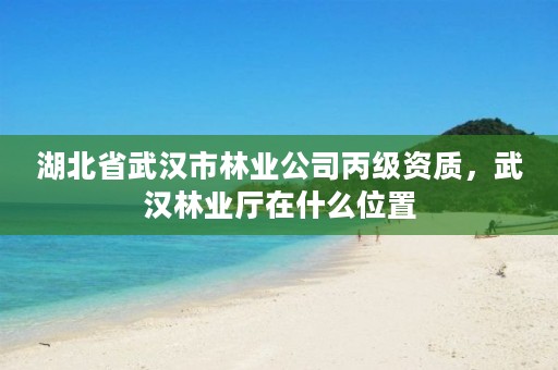 湖北省武汉市林业公司丙级资质,武汉林业厅在什么位置