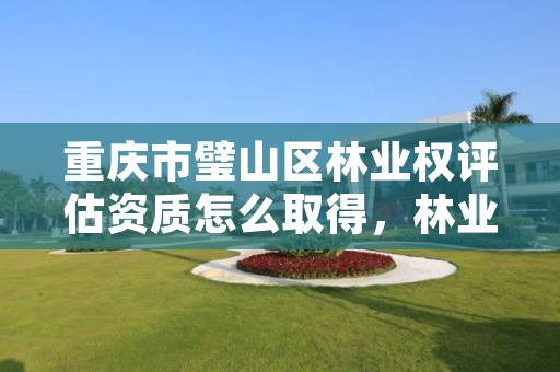 重庆市璧山区林业权评估资质怎么取得，林业资质 重庆