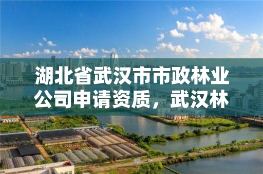 湖北省武汉市市政林业公司申请资质,武汉林业部门