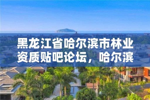 黑龙江省哈尔滨市林业资质贴吧论坛,哈尔滨林业厅官网