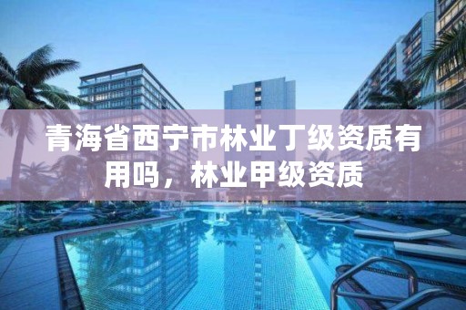 青海省西宁市林业丁级资质有用吗，林业甲级资质