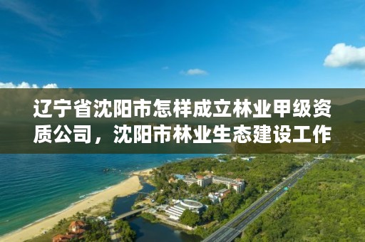 辽宁省沈阳市怎样成立林业甲级资质公司，沈阳市林业生态建设工作方案