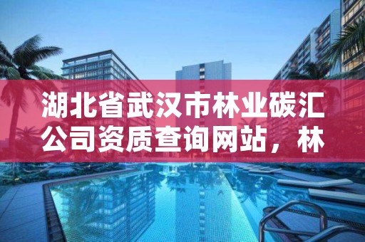 湖北省武汉市林业碳汇公司资质查询网站，林业碳汇项目审定和核证指南