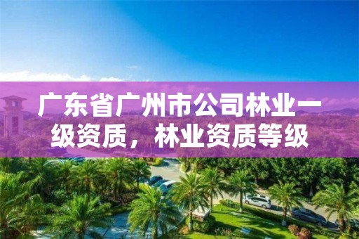 广东省广州市公司林业一级资质,林业资质等级