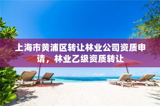 上海市黄浦区转让林业公司资质申请,林业乙级资质转让