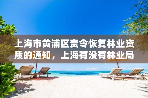 上海市黄浦区责令恢复林业资质的通知，上海有没有林业局