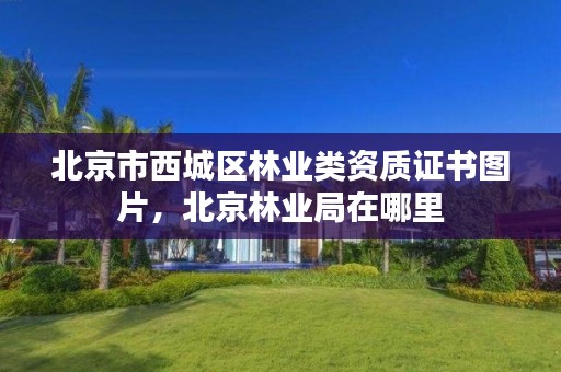 北京市西城区林业类资质证书图片,北京林业局在哪里