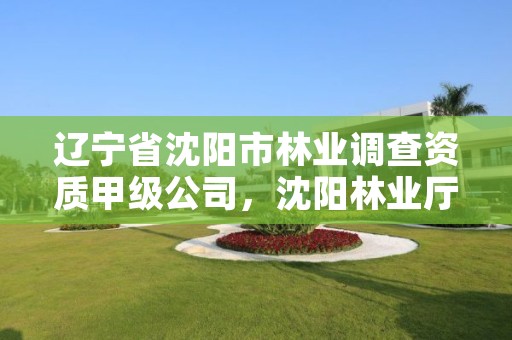 辽宁省沈阳市林业调查资质甲级公司,沈阳林业厅