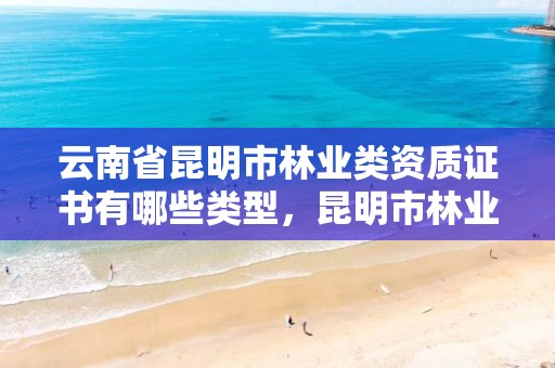 云南省昆明市林业类资质证书有哪些类型，昆明市林业产业投资开发有限公司