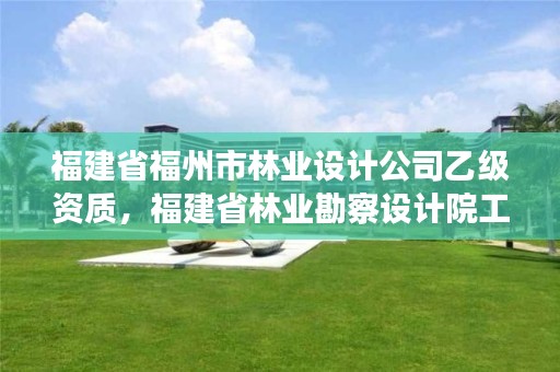 福建省福州市林业设计公司乙级资质,福建省林业勘察设计院工资有多少