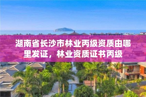 湖南省长沙市林业丙级资质由哪里发证,林业资质证书丙级