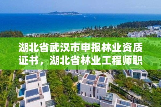 湖北省武汉市申报林业资质证书，湖北省林业工程师职称评定条件