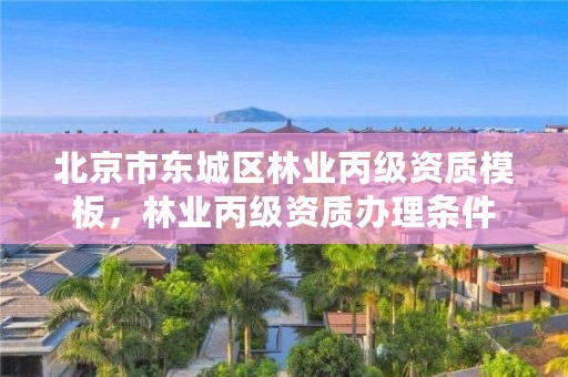 北京市东城区林业丙级资质模板,林业丙级资质办理条件