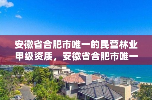 安徽省合肥市唯一的民营林业甲级资质,安徽省合肥市唯一的民营林业甲级资质企业