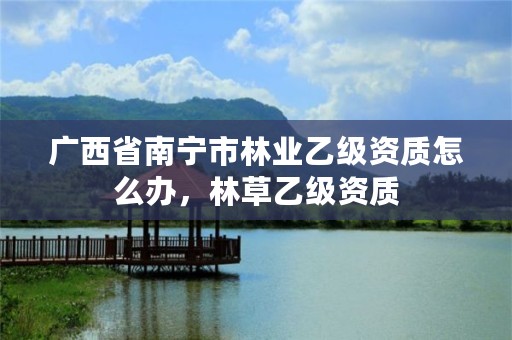 广西省南宁市林业乙级资质怎么办,林草乙级资质